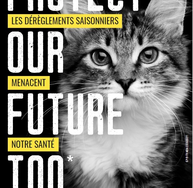 affiche protect our future too chat