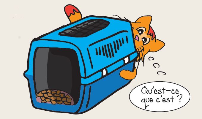 illustration chat et sa caisse de transport