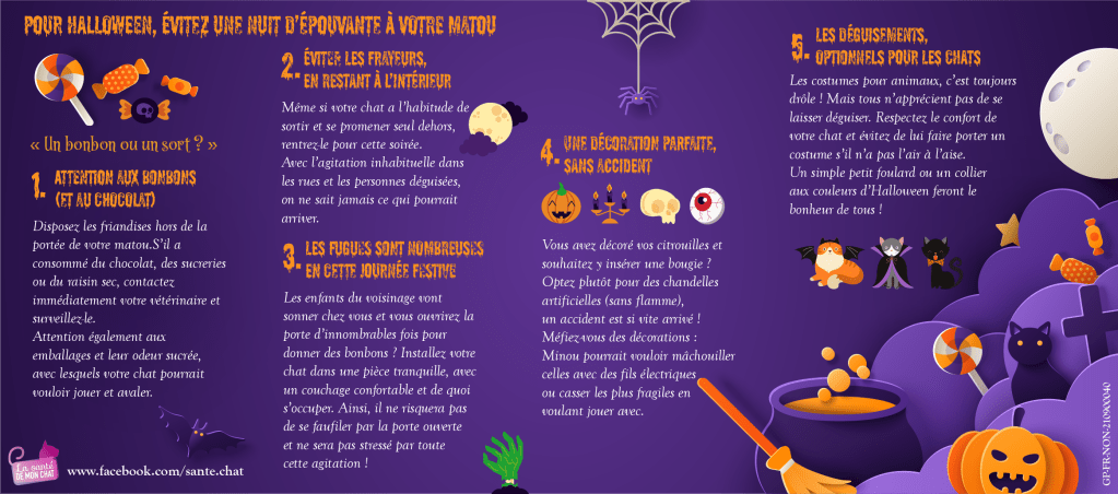 conseils-Halloween-chat-Site